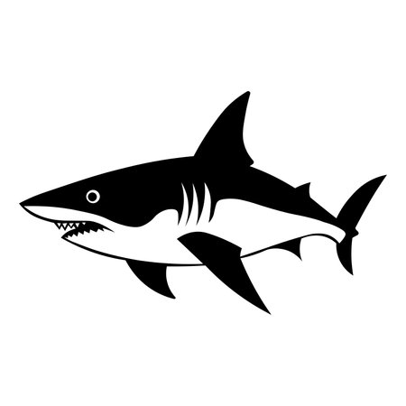 Shark black vector icon isolated on white backgroundのイラスト素材