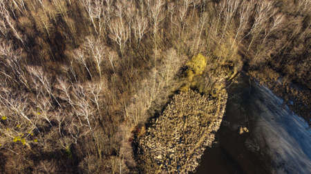 The forest in Zabrze from a bird's eye viewの写真素材