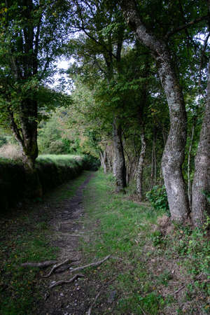 path on the Via Francigena in autumn, towards the Apennines in the direction of Rome