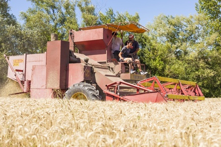 Combine Harvester in wheat corn fieldのeditorial素材