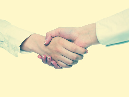 Two hands in Handshake - Business Handshakingの写真素材