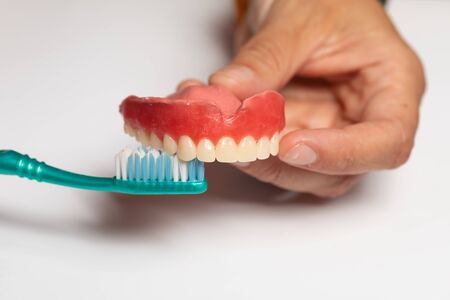 Oran hygiene demonstration: Doctor Dentist show how to Cleaning denture dental prosthesis with toothbrush, acrilic modelの写真素材