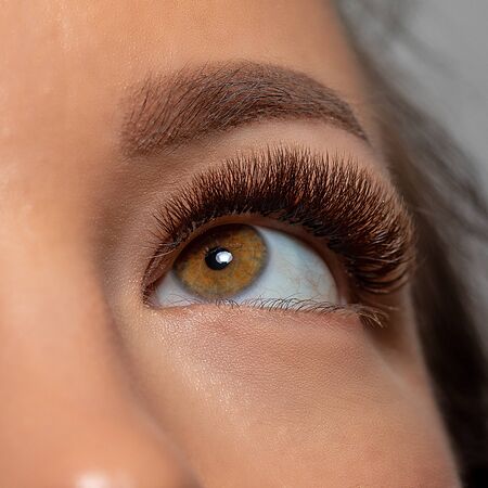Treatment of Eyelash Extension. Artificial lashes. Woman Eye with Long Eyelashes.の写真素材