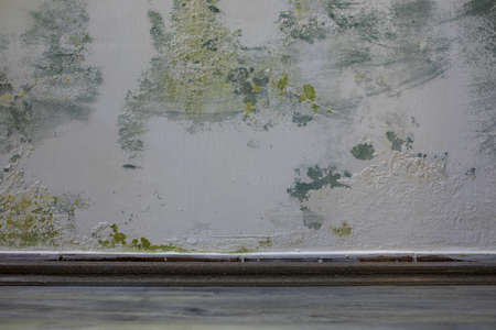 Wet Mold from condensation on the walls corner in the room, stock photoの写真素材