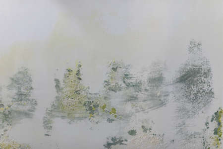 Wet Mold from condensation on the walls corner in the room, stock photo