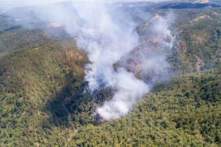 Aerial view of Wildfire on mountain forest, fire on Divcibare, drone view, Serbiaの写真素材