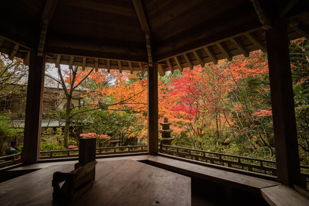 Historic Japanese Garden View in the Fall from a Traditional Wooden Style Gazeboの写真素材