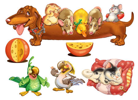 Home Zoo. Characters design for invitations or greeting cards. Raster illustration.の写真素材