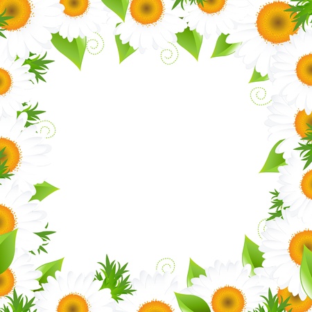 Camomile Border, Isolated On White Background, Vector Illustration

のイラスト素材