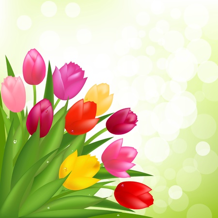 Bouquet Of Tulips Illustrationのイラスト素材