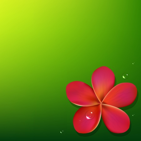 Pink Frangipani With Green Background, Vector Illustrationのイラスト素材