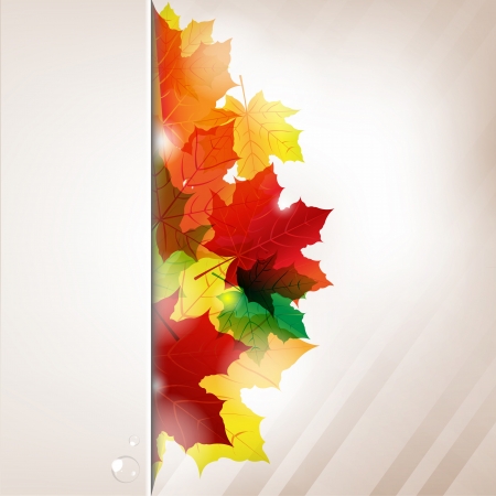 Autumn Composition From Leaves And Paper Banner With Water Drop Illustrationのイラスト素材