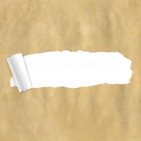 Package Paper Torn With Gradient Meshのイラスト素材