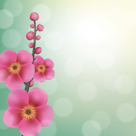 Sakura Flowers With Bokeh, With Gradient Mesh, Vector Illustrationのイラスト素材