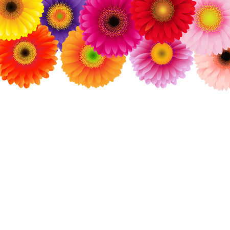 Colorful Gerbers Border, Vector Illustrationのイラスト素材