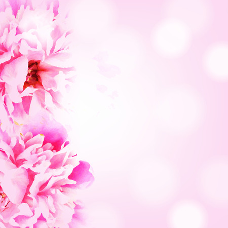 Border With Peony, With Gradient Mesh, Vector Illustrationのイラスト素材
