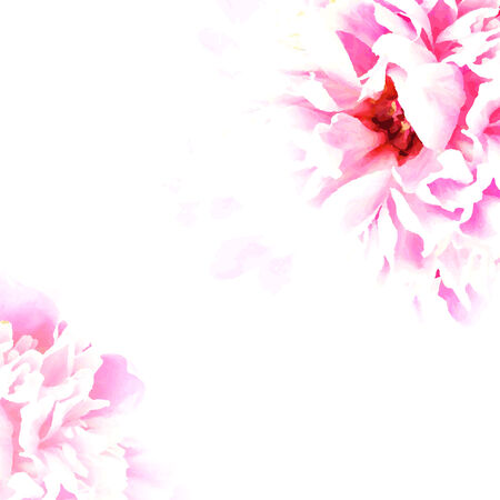 Pastel Peony, Vector Illustrationのイラスト素材