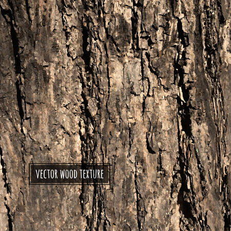 Vector Wood Texture, Vector Illustrationのイラスト素材