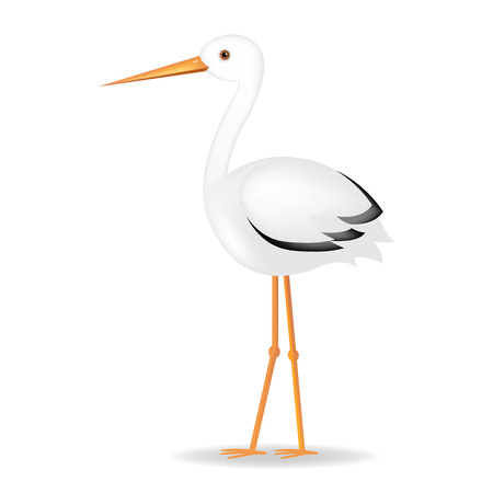 Stork With Gradient Mesh, Vector Illustrationのイラスト素材