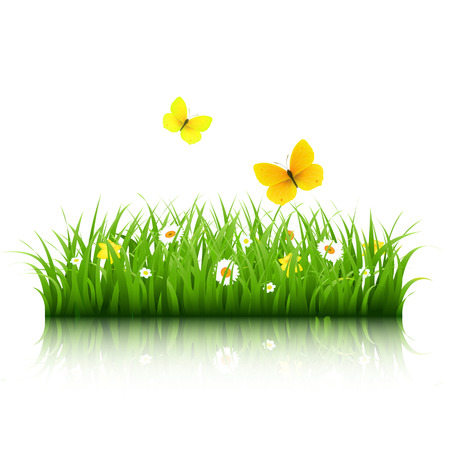Grass With Butterfly With Gradient Mesh, Vector Illustrationのイラスト素材