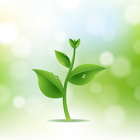 Nature Background With Plant And Drop Water With Gradient Mesh, Vector Illustrationのイラスト素材
