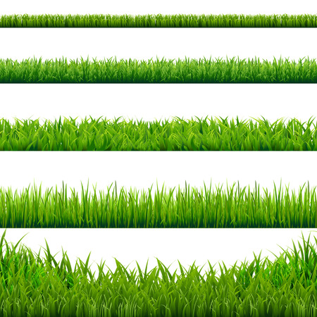 Big Grass Borders Set, Vector Illustrationのイラスト素材