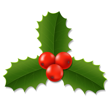 Holly Berry With Gradient Mesh, Vector Illustrationのイラスト素材