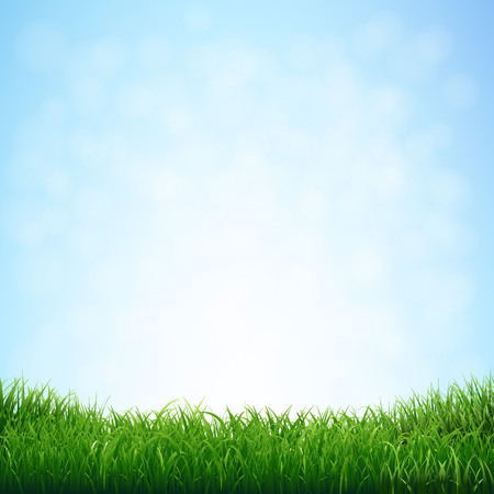 Grass With Blue Sky With Gradient Mesh, Vector Illustrationのイラスト素材