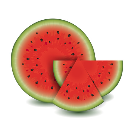 Watermelon Collection, Vector Illustrationのイラスト素材