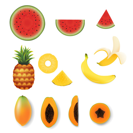 Fruit set illustration.のイラスト素材