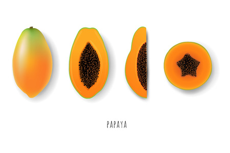 Papaya collection illustration.のイラスト素材