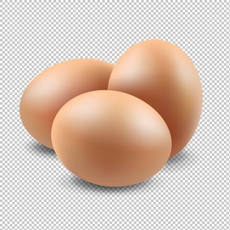Eggs Set Gradient Mesh, Vector Illustrationのイラスト素材