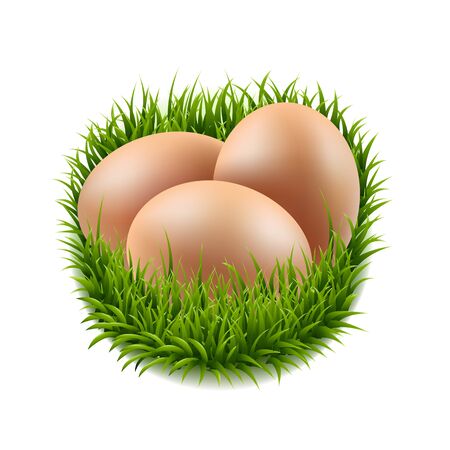 Eggs Set With Grass Gradient Mesh, Vector Illustration.のイラスト素材