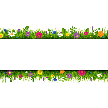 Grass and flowers border banner with gradient mesh, vector illustration.のイラスト素材