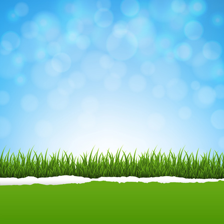 Green Grass And Ripped Paper Nature Background With Gradient Mesh, Vector Illustrationのイラスト素材