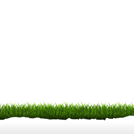Grass Border Isolated White Background, Vector Illustrationのイラスト素材