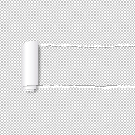 Torn Paper Edge Transparent Background With Gradient Mesh, Vector Illustrationのイラスト素材