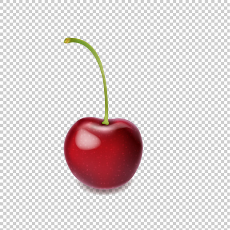 Cherry Isolated Transparent Background With Gradient Mesh, Vector Illustrationのイラスト素材