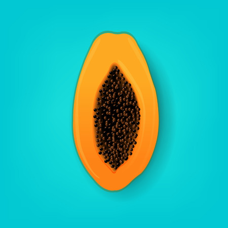 Papaya And Mint Background With Gradient Mesh, Vector Illustrationのイラスト素材