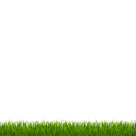 Green Grass Border, Vector Illustrationのイラスト素材