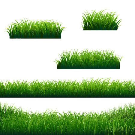 Green Grass Borders Big Collection, Vector Illustrationのイラスト素材
