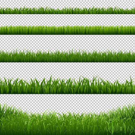 Grass Frame Borders Transparent Background, Vector Illustrationのイラスト素材