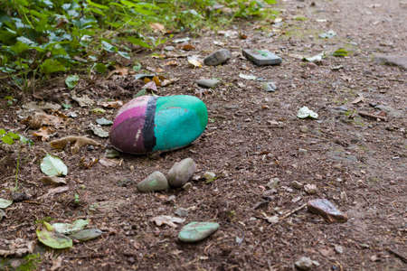 Autumn landscapes of nature, forest, nature, fungi, plants, leaves in October. captured from a distance that's approximately the same distance. It's the area and territories of Rcklinghausen.の写真素材