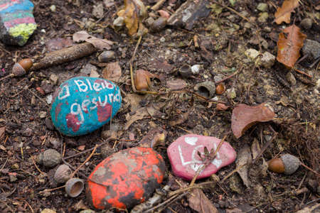 Autumn landscapes of nature, forest, nature, fungi, plants, leaves in October. captured from a distance that's approximately the same distance. It's the area and territories of Rcklinghausen.の写真素材