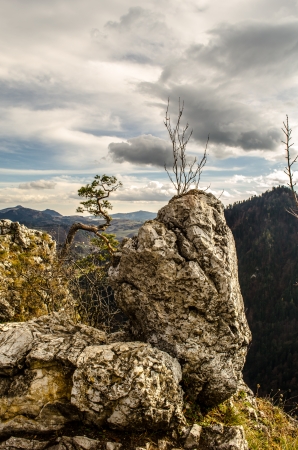Sokolica in Pieniny mountainsの写真素材