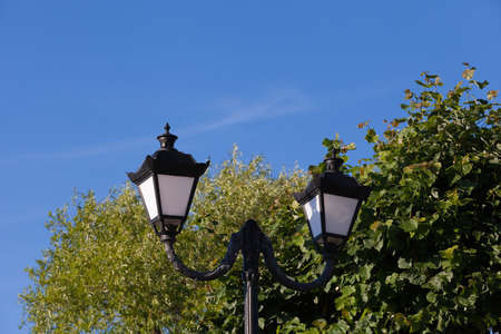 streetlight against trees of the blue skyの写真素材