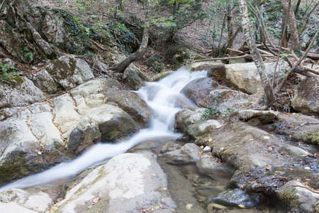 beautiful forest falls in mountains in the summer afternoon, the Crimea, Russiaの写真素材