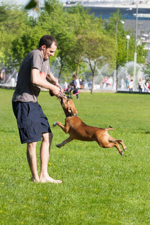 Sankt-Petereburg, Russia - May 15 2016: the man plays in park with a dog. In St. Petersburg in parks many people walk with the petsのeditorial素材