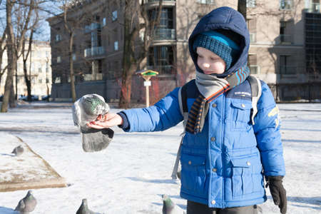 ST. PETERSBURG, RUSSIA - MARCH 05: The child feeds a pigeon from hands,RUSSIA - MARCH 05 2017.In Russia people like to feed wild birds from hands and to look after them.のeditorial素材