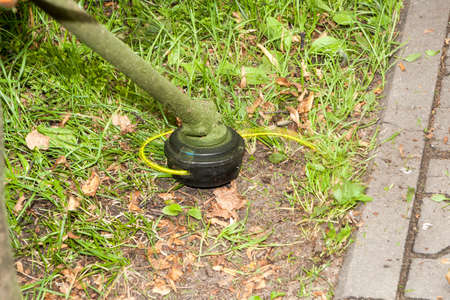 the trimmer mows a green grass on a lawn in clear summer day